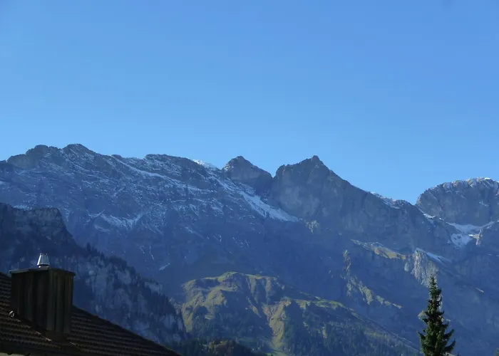 Neuschwaendi 63 By Interhome * אנגלברג